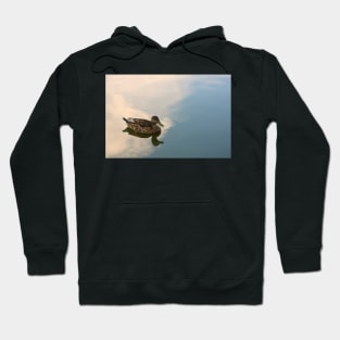 Morning Stillness - Female Mallard Duck Swimming with Reflected Clouds Hoodie